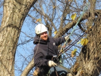 tree_pruning
